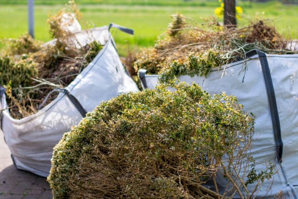 Best Attic Cleanout Services  in Kean University, NJ